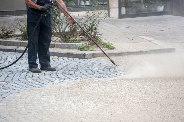 Best Roof Washing  in Morenci, MI